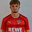 Fritz Birnstiel
