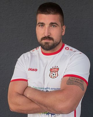 Miodrag Stolic