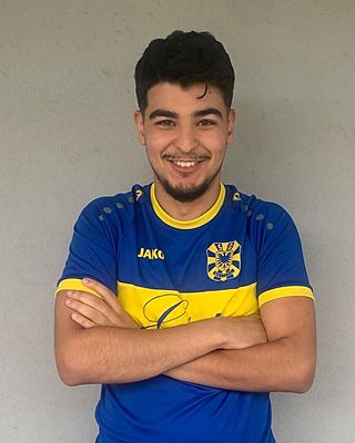 Salaheddine Houssaini