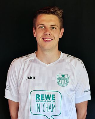 Thomas Hermann