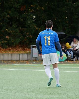 Ricardo Mendes Ferreira