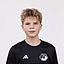 Florian van Loo