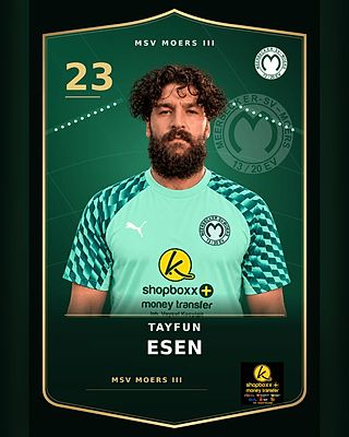 Tayfun Esen