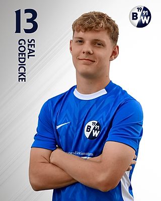 Seal Gödicke