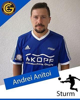 Andrei Anitoi