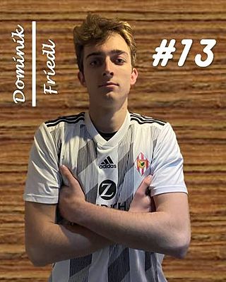 Dominik Friedl