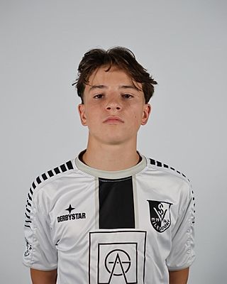 Matteo Valentino Bini