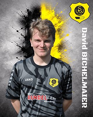 David Bichelmaier