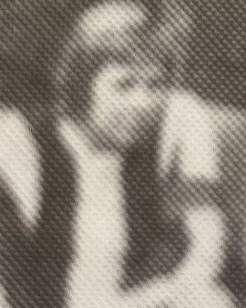 Foto: FC Preußen de