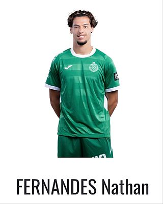 Nathan Fernandes