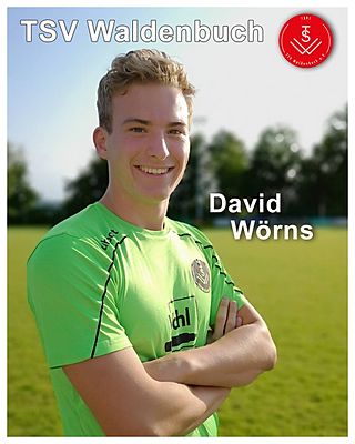 David Wörns