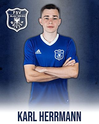 Karl Herrmann