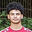 Gamal Mohamed