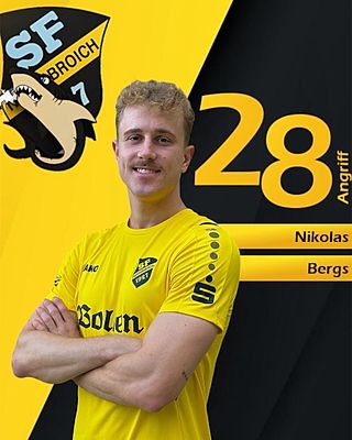 Nikolas Bergs