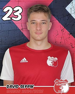 David Seppik
