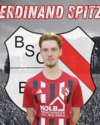 Ferdinand Spitzl