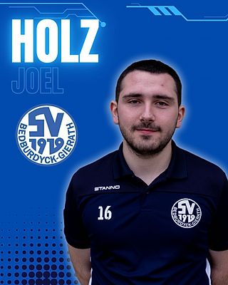 Joel Holz