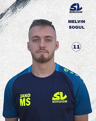 Melvin Sogul