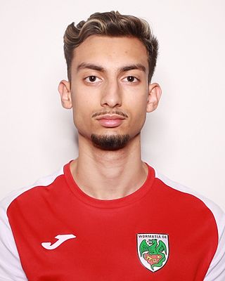 Nenad Julien Jasarevic