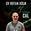 Serhildan Cal