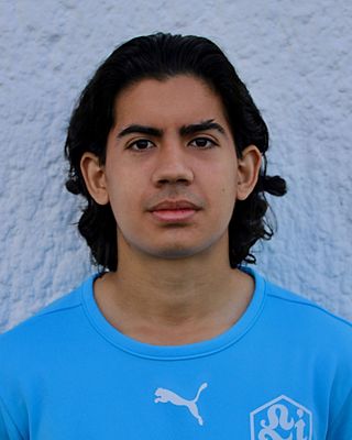 Luis Alejandro Bravo Avilés