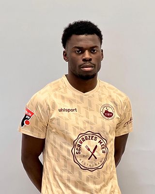 Ryan Nelson Mawamba Menougong