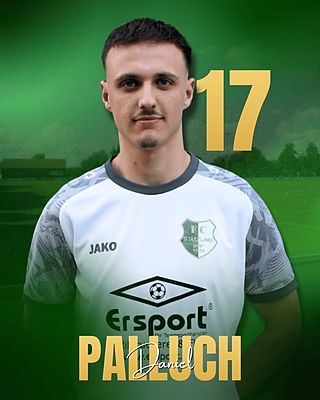 Daniel Palluch