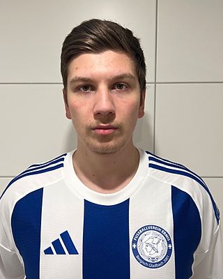 Gabriel Zivojnov
