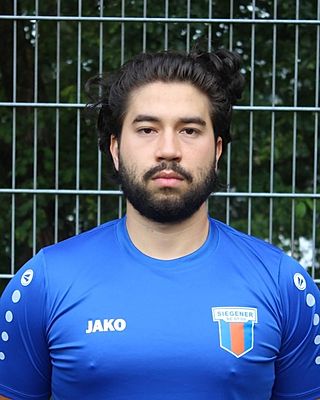 Alexandru Irinel Saceanu