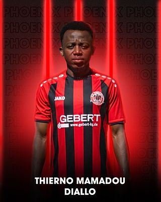 Thierno Mamadou Diallo