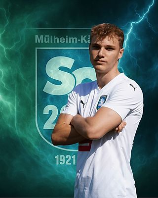 Sebastian Hollendung