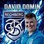 David Domin