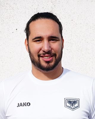 Talha Ergül