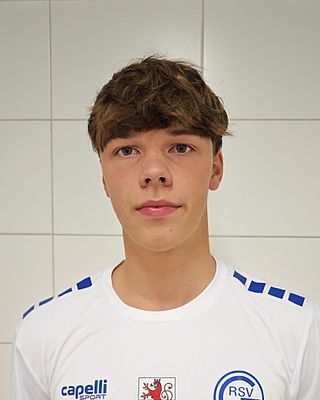 Albert Johannes Feller