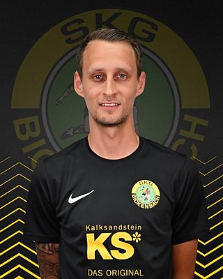 Niklas Stein