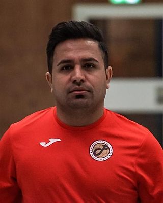 Mohammad Reza Bahmei
