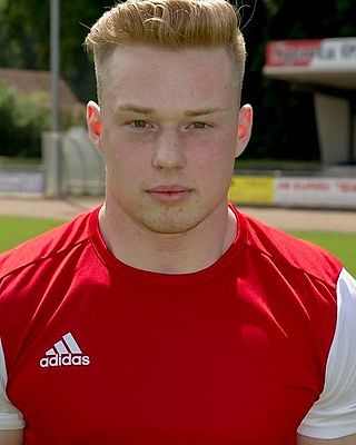 Lucas Alexander Reinink