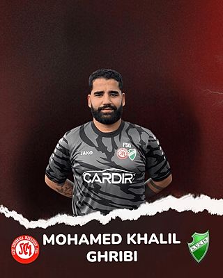 Mohamed Khalil Ghribi