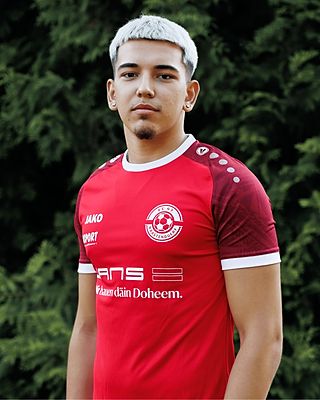 Bryan Santiago Teixeira