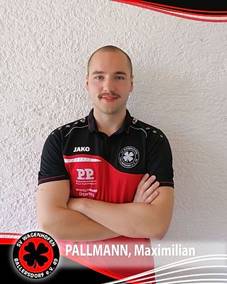 Maximilian Pallmann