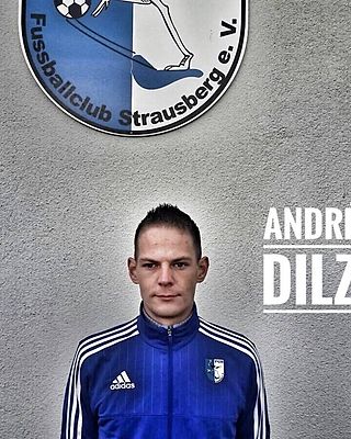 Andre Dilz