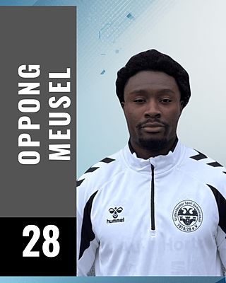 Perry Oppong Meusel