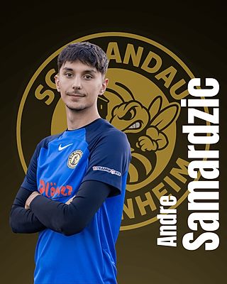 Andre Samardzic