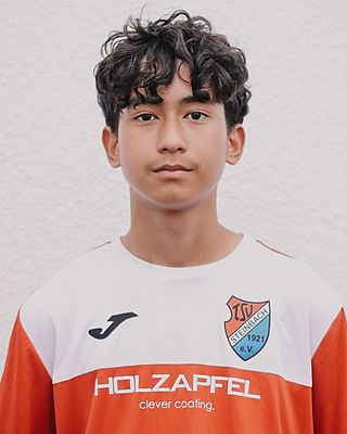 Mohammed Taha Mohseni