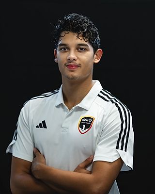 Alessandro Tallarico Alves