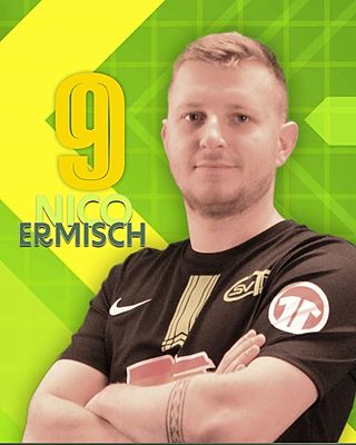 Nico Ermisch