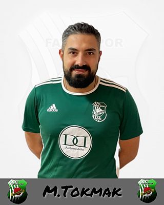 Mustafa Tokmak