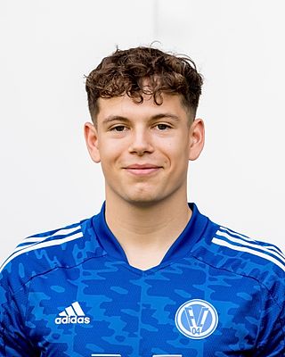 Fabio Leschinsky-Rosales