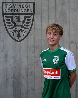 Elias Leimer