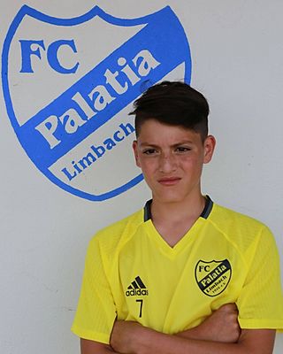 Alexandre Martins Pontes